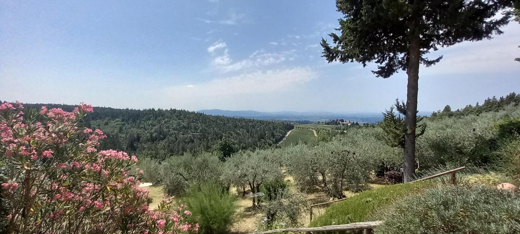 Borgo Nel Chianti Istrice Con Piscina Tennis E Wifi Castellina in Chianti Exterior foto